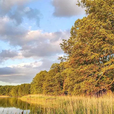 3 Bedroom Lovely In نوفي فاربنو