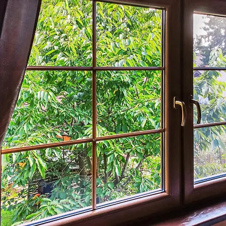 3 Bedroom Lovely In نوفي فاربنو