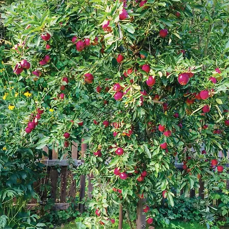 3 Bedroom Lovely In بيت للعطل