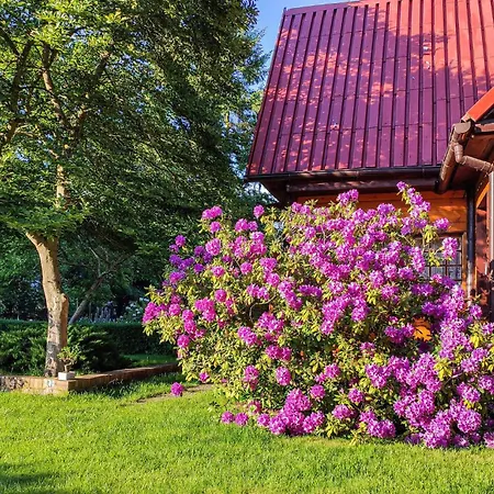 3 Bedroom Lovely In *