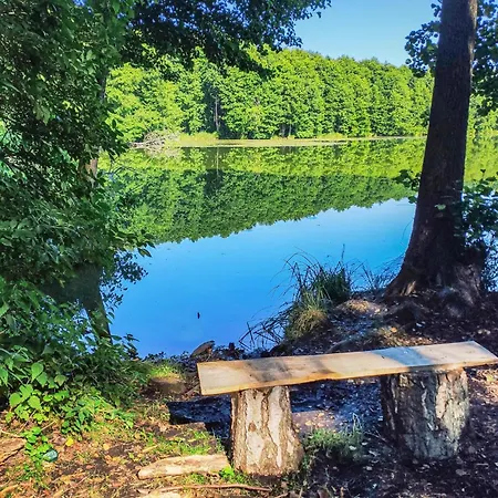 بيت للعطل 3 Bedroom Lovely In نوفي فاربنو