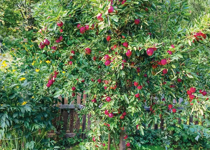 3 Bedroom Lovely In Ferienhaus